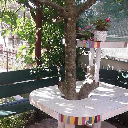 Eleni Appartement Tivat Buitenkant foto